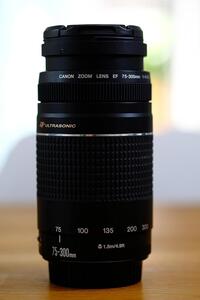 Canon EF 75-300mm f/4-5.6 III Zoom Lens