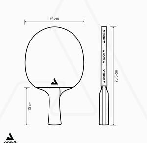 JOOLA Carbon Pro table tennis racket