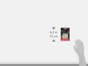 SanDisk Extreme 64Go UDMA7 CompactFlash