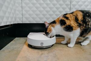 Cat Mate C500 Automatic 5-Meal Feeder, White