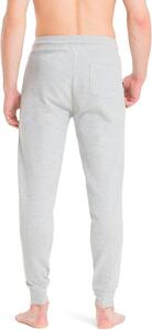 Tommy Hilfiger Track Pant HWK Regular