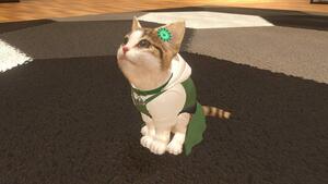 Sold Out Little Friends Dogs Cats