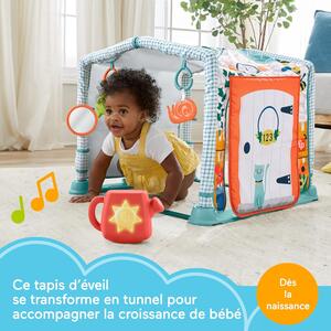 Fisher-Price Mon Tapis Cabane 3-en-1