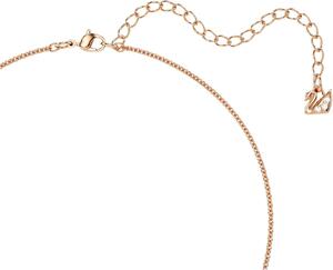 Swarovski Teddy Collection cristal