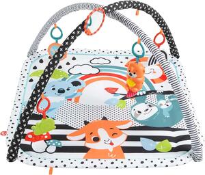 Promotion Fisher-Price Tapis Sensoriel Bébé