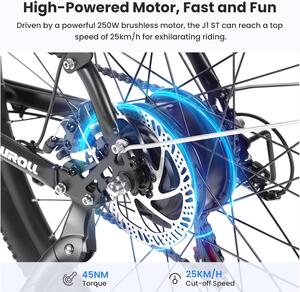 Touroll J1/J1 ST E-Bike 27.5" 250W 15.6Ah