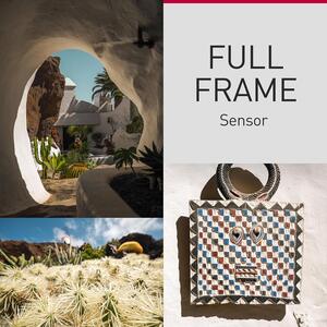 Panasonic Lumix S9 Hybride Plein Format