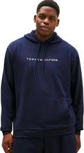 Discount Tommy Hilfiger BT OH Hoodie UM0UM03556